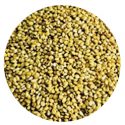 Browntop millet/అండు కొర్రలు (1 Kg)