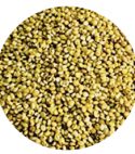 Browntop millet/అండు కొర్రలు (1 Kg)